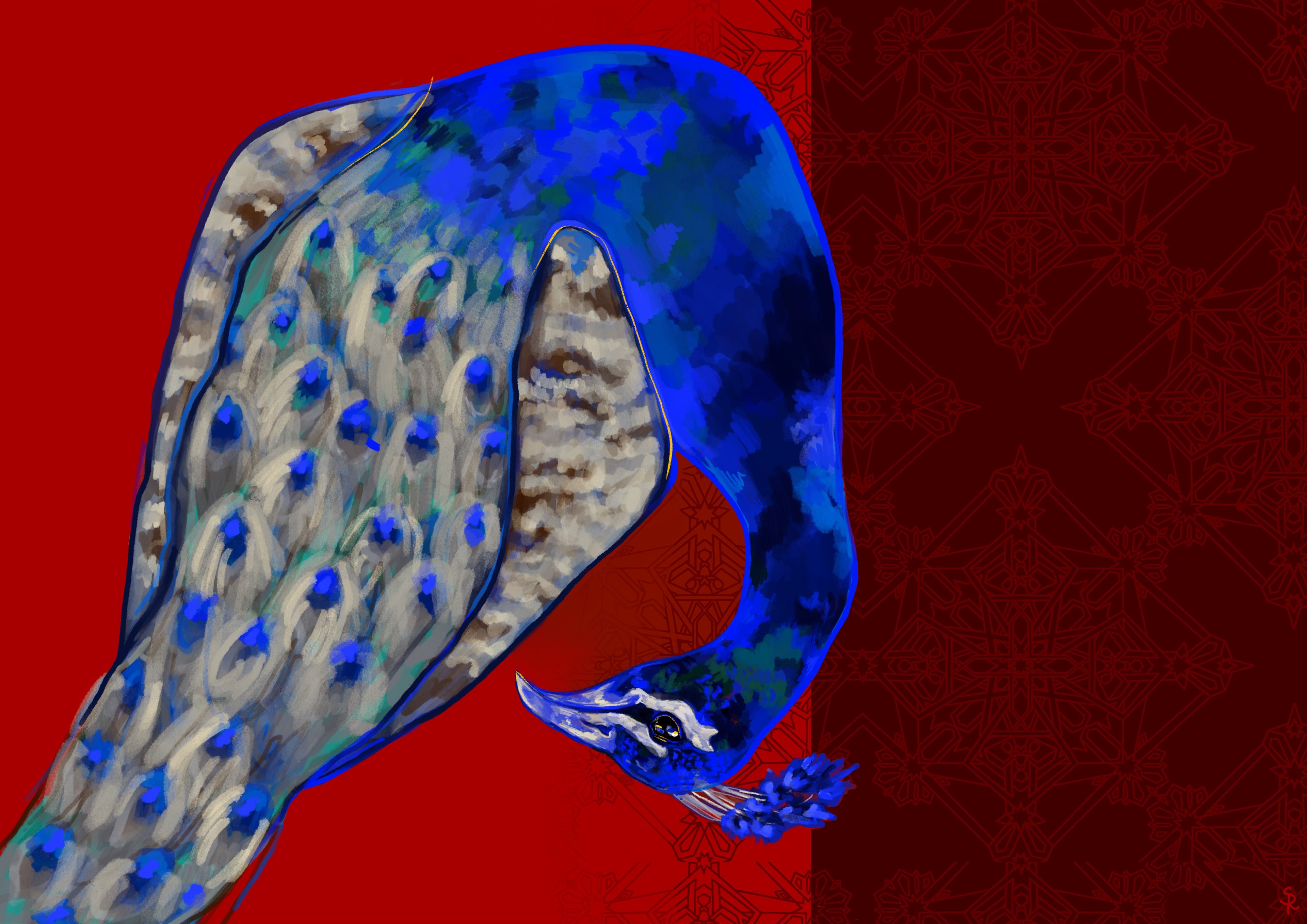 Diverses illustrations 6