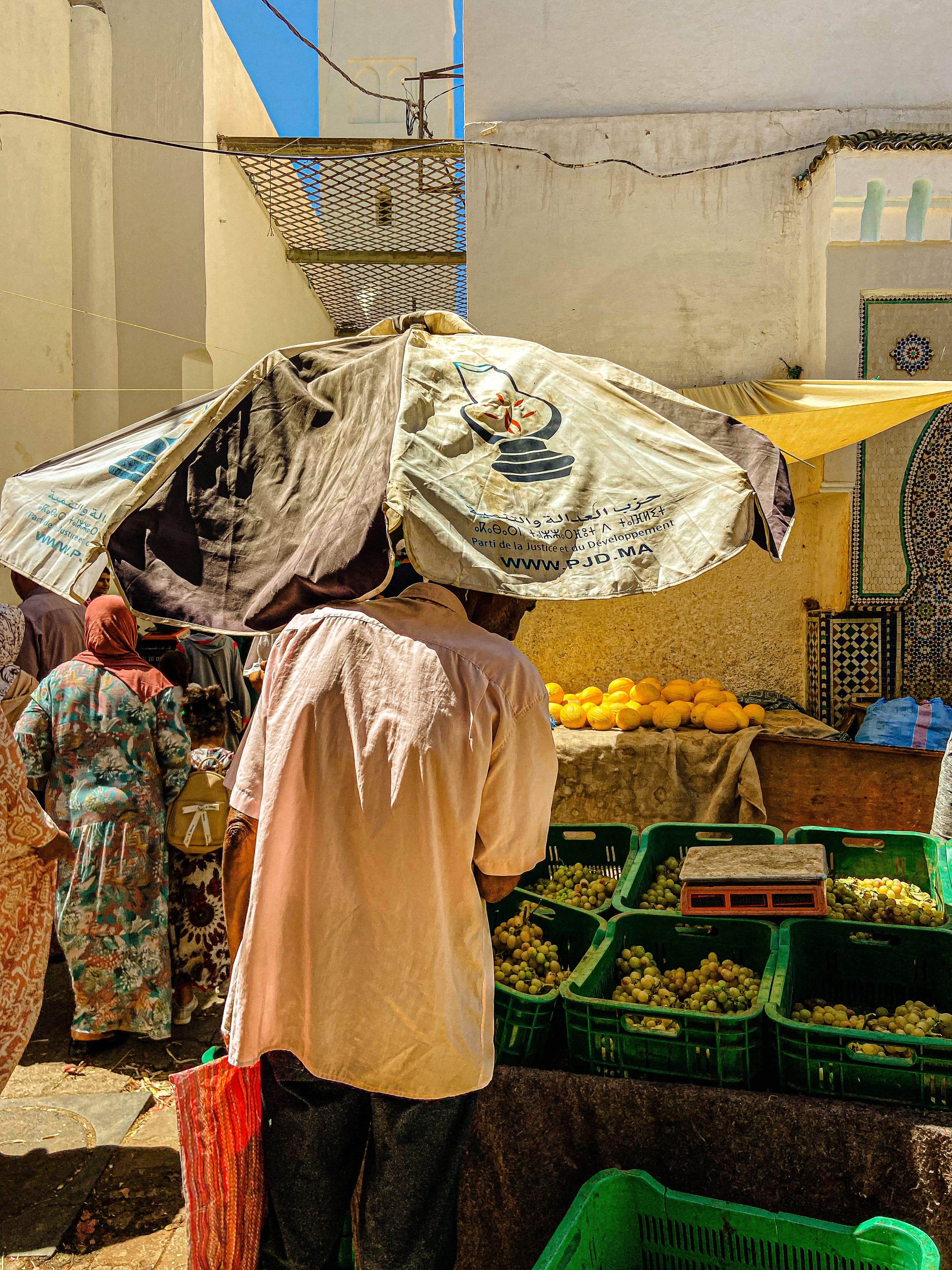 Chroniques argentique 12