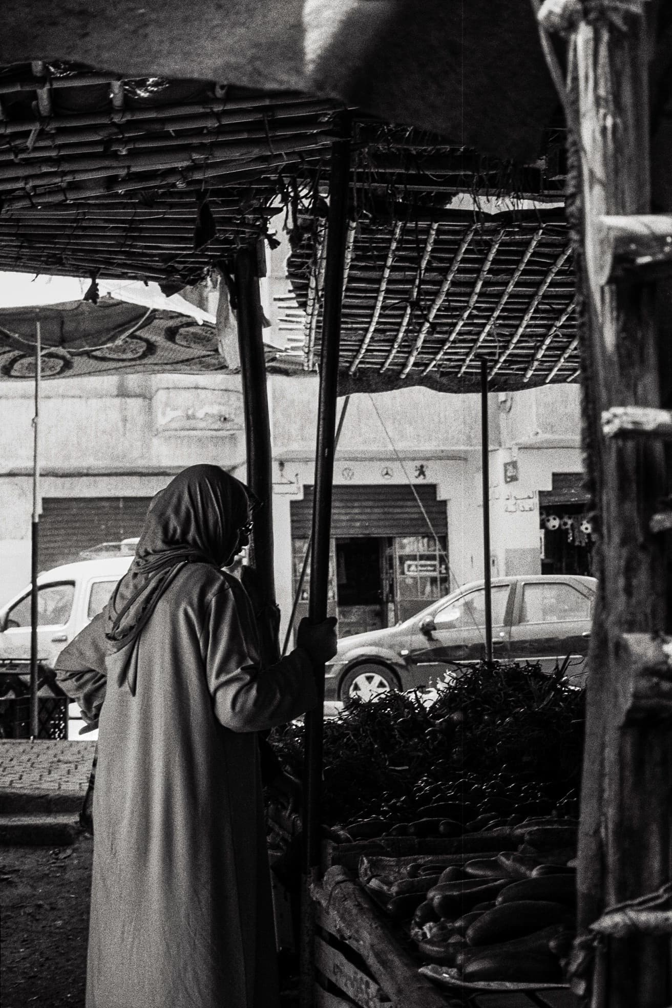 Chroniques argentique 7