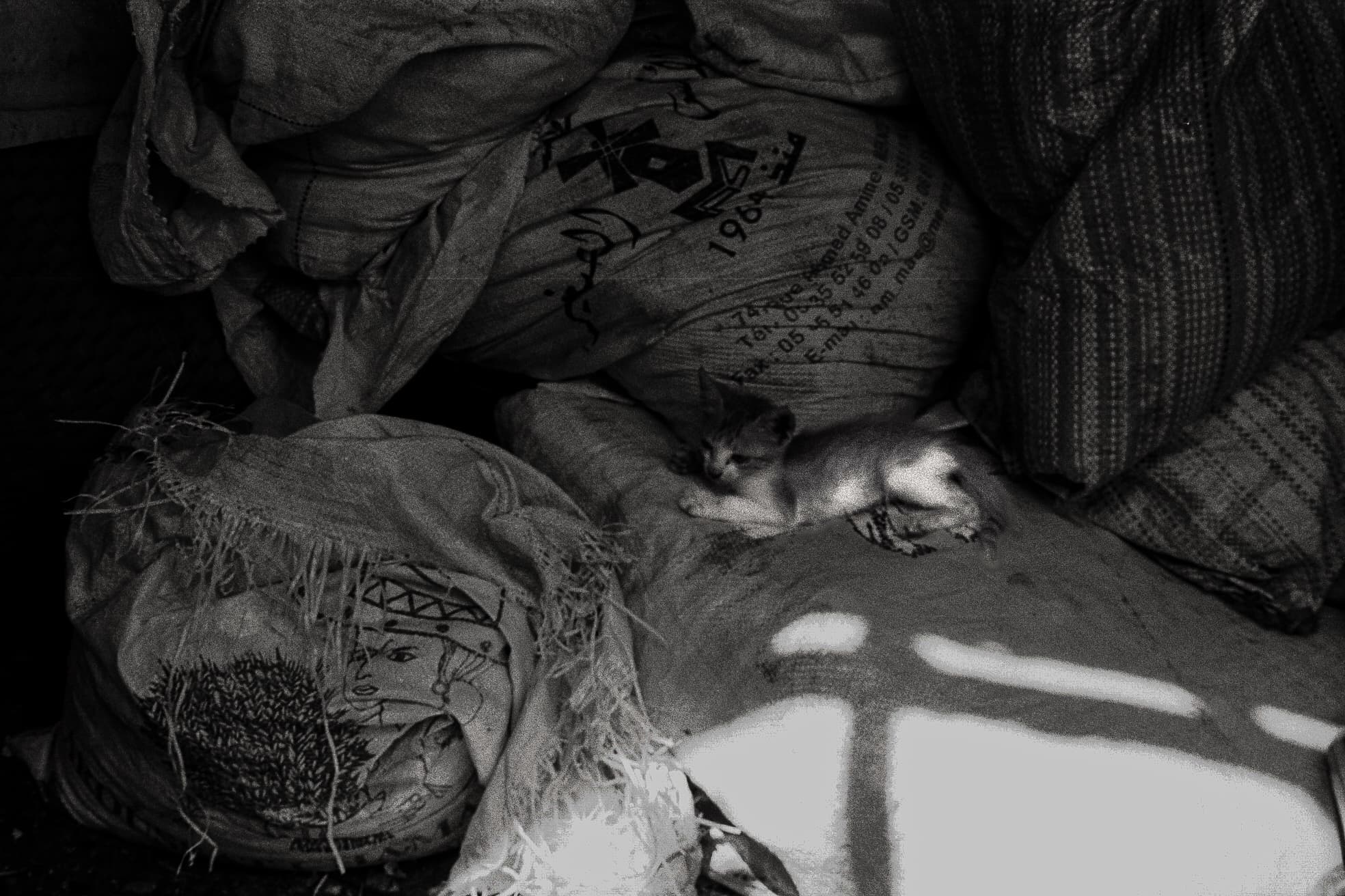 Chroniques argentique 18