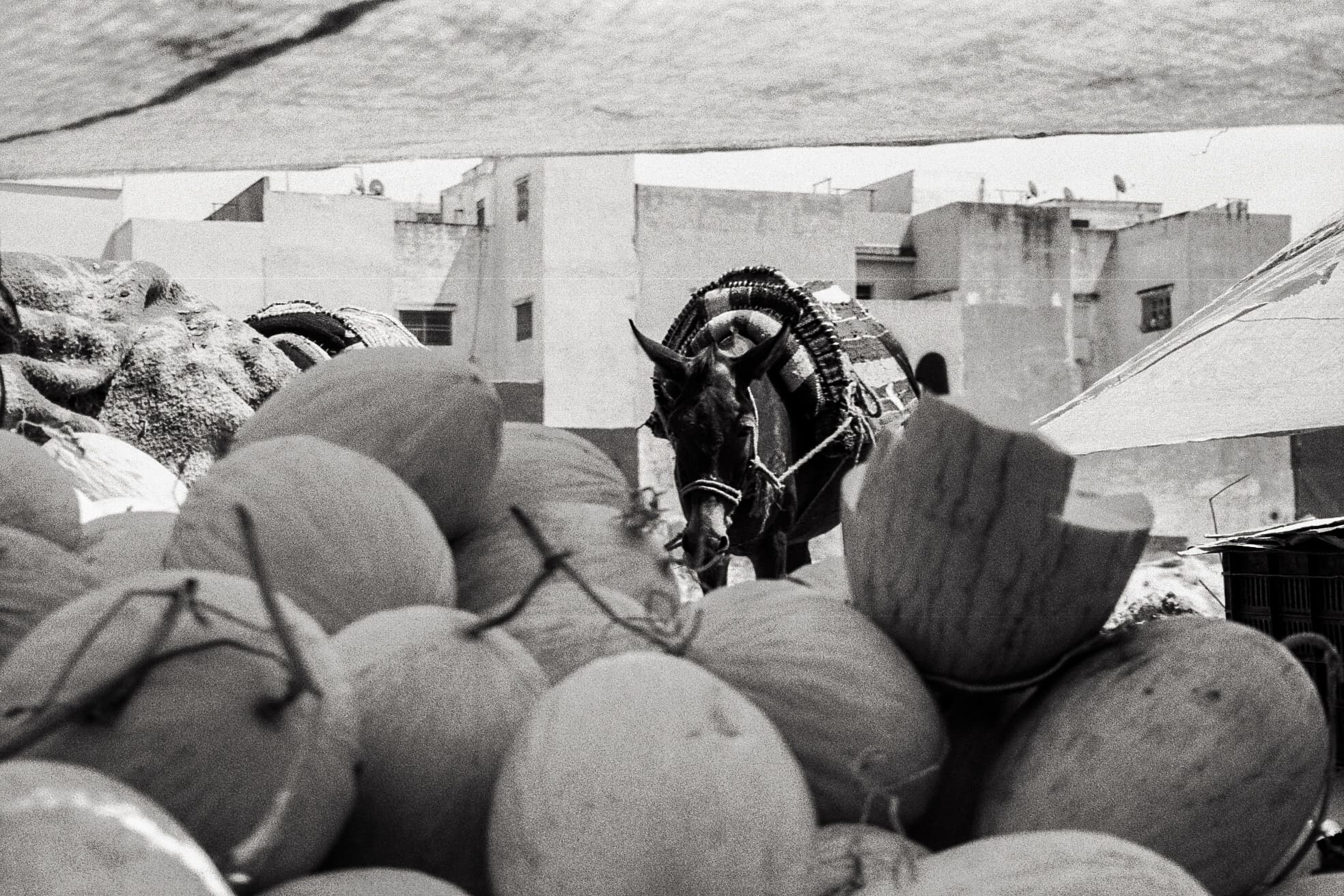 Chroniques argentique 20