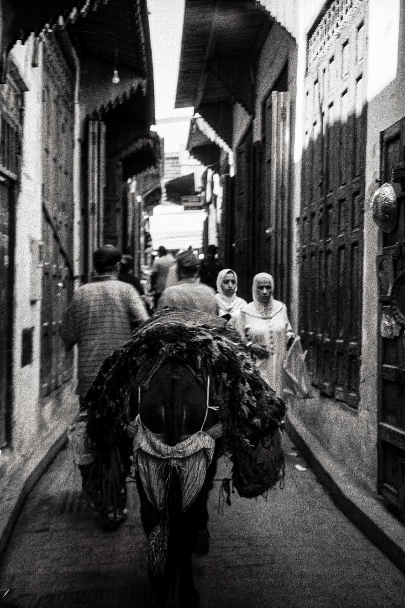 Chroniques argentique 5