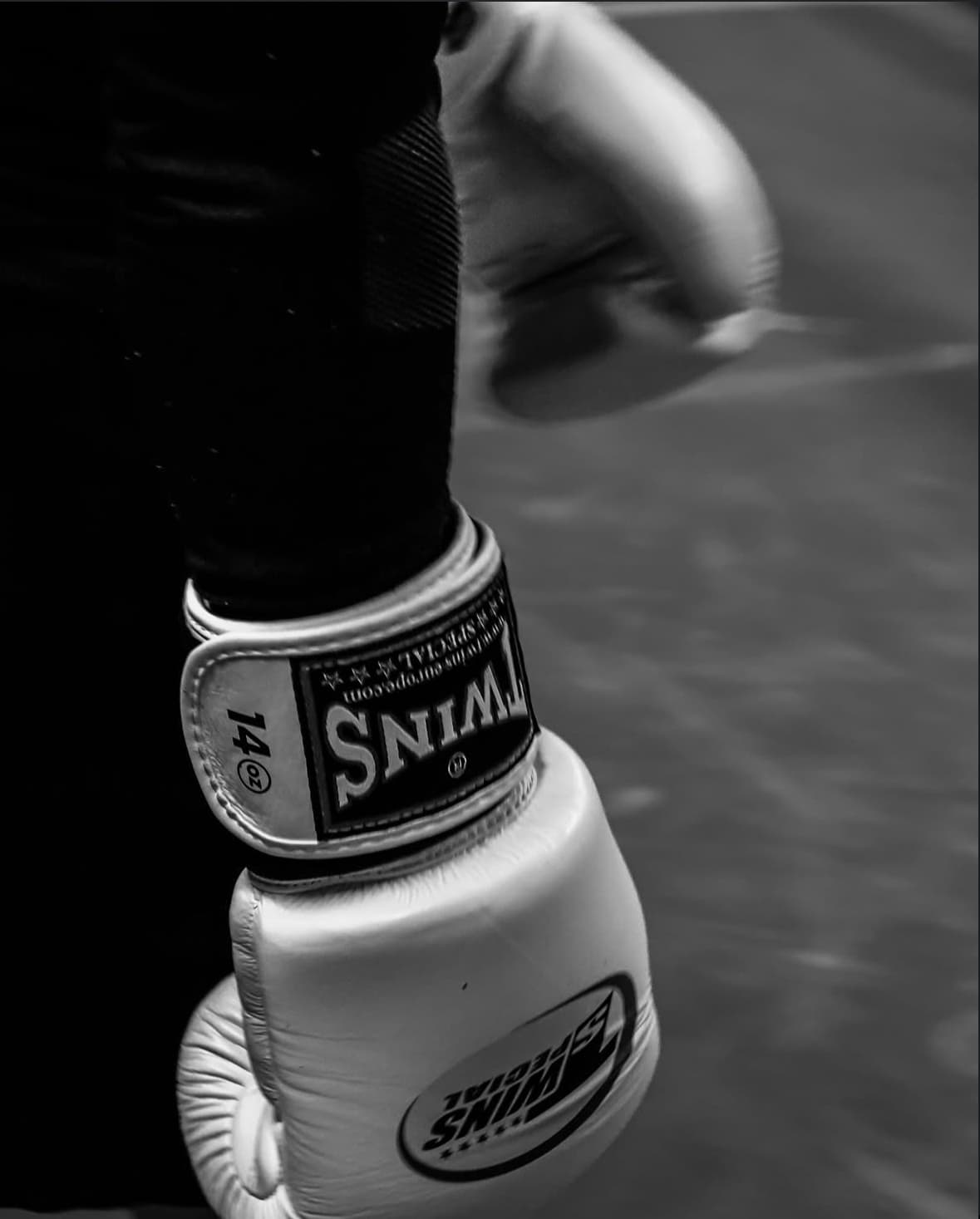 Boxe anglaise 7